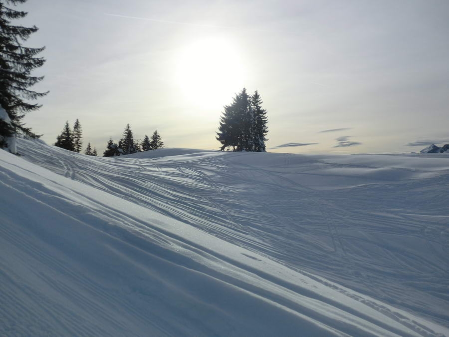 02- Dachstein, Rodeln, Geischl 093
